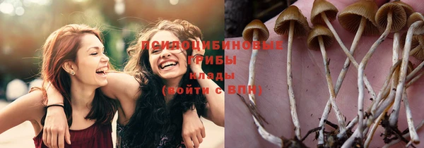 а пвп мука Алексеевка