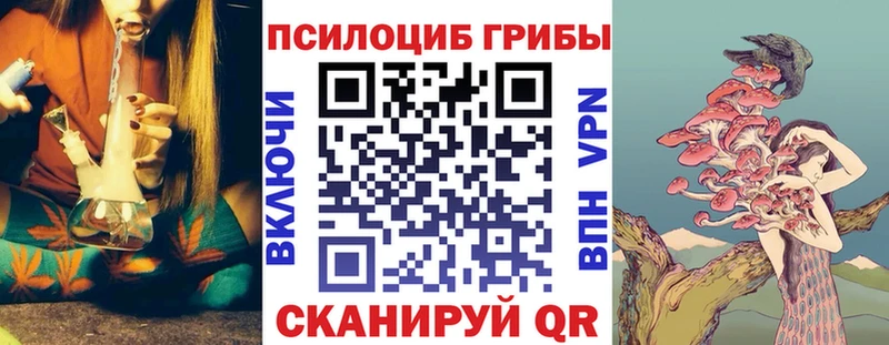 купить наркотики сайты  Хилок  Галлюциногенные грибы Magic Shrooms 